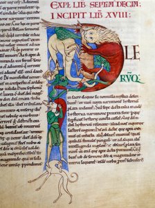 Initiale P (lettrine) : diable levure bouche de l