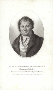 Jean Louis August Loiseleur-Deslongchamps - French School