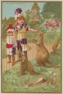 Kangourous au zoo - French School