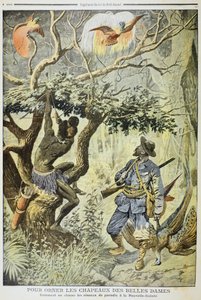 Chasse aux oiseaux de paradis, Nouvelle-Guinée