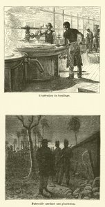 La Canne À Sucre - French School