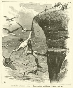 La chasse aux pingouins - French School