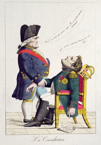 La Consultation, mai 1815