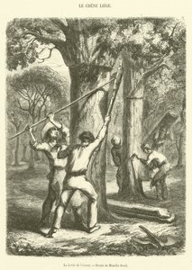 La Levée de l