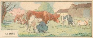 La Vache - French School