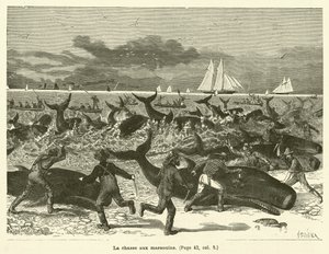 La chasse aux marsouins - French School