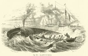 La pêche à la baleine - French School
