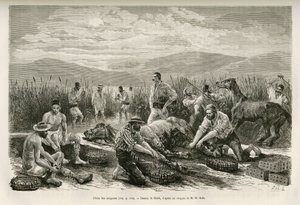 La pêche des sangsues, dessin de Sahib, pour illustrer l