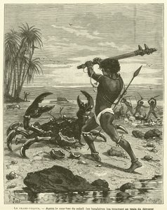 Le Crabe-Voleur - French School
