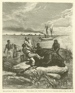 Le lieutenant Harou au Congo - French School