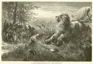 Le docteur Livingstone terrassé par un lion - French School