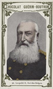 Léopold II, Roi des Belges