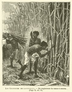 Les chasseurs de caoutchouc - French School