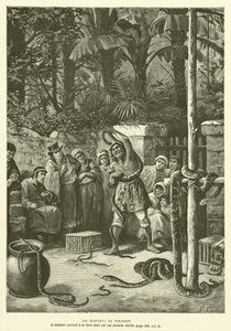 Les Serpents Au Paraguay - French School