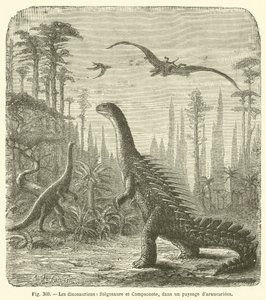 Les dinosauriens, Stegosaure et Compsonote, dans un paysage d