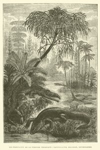 Les habitants de la période triasique, capitosaure, belodon, nothosaure (gravure) - French School