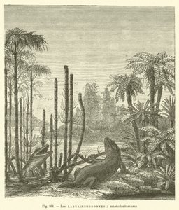 Les labyrinthodontes, mastodontosaures - French School