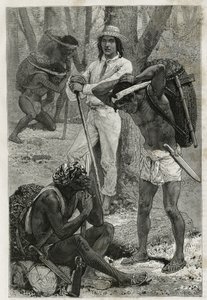Les porteurs (caucheros), à Darien (région de l