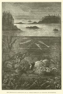 Les principaux habitants de la terre pendant la période dévonienne - French School