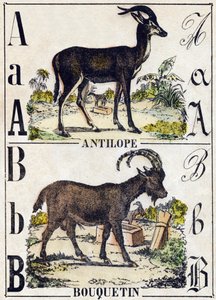 Lettre A Antilope; B Ibex. Gravure dans "Alphabet des animaux sauvages". 9e Série. Imagerie d