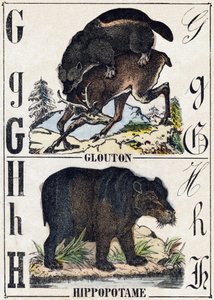 Lettre G Glouton; H Hippopotame. Gravure dans "Alphabet des animaux sauvages". 9e Série. Imagerie d