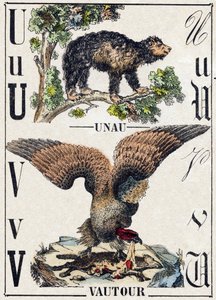 Lettre U Unau (paresseux) ; V Vautour. Gravure dans « Alphabet des animaux sauvages ». 9e Série. Imagerie d