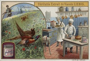 Carte Liebig représentant des faisans