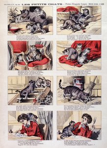 Petits chats - Imagerie d