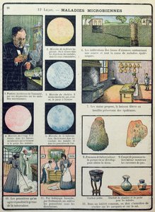 Louis Pasteur (1822-95) et les maladies bactériennes, de Les Sciences Physiques et Naturelles, Paris, 1908 - French School