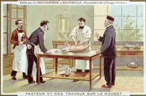 Louis Pasteur travaillant sur l