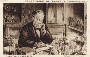 Louis Pasteur - French School