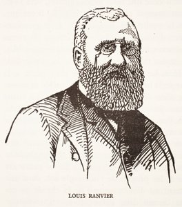 Louis Ranvier - French School