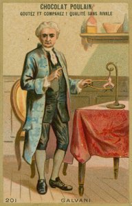 Luigi Galvani - French School