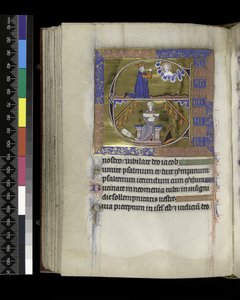 MS 300 f.89v, David prie Dieu - French School