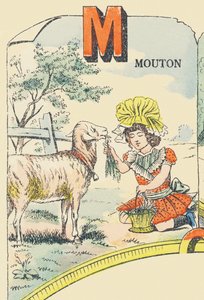 M: mouton