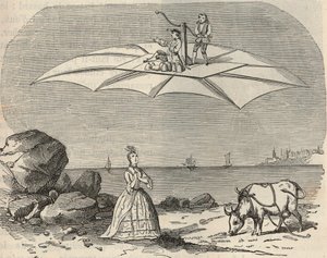 Machine (Planeur) par Samuel Musgrave - Gravure dans « Sciences à la disposition de tous - physique et chimie » par Alexis Clerc - Fin du 19e siècle - Collection privée - French School