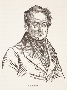 Magendie