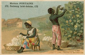 Carte commerciale Maison Fontaine, récolte du coton