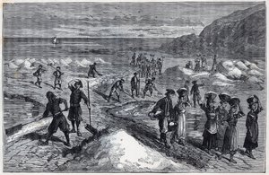 Marais salants de Bretagne au XIXe siècle - Gravure dans "Les sciences mises à la portée de tous - physique et chimie populaires" par Alexis Clerc - Fin du XIXe siècle - Collection privée - French School