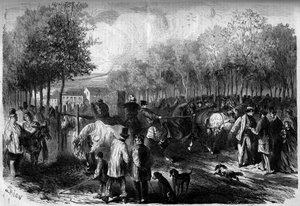 Marché aux chevaux de Paris