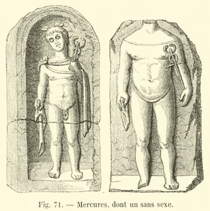 Mercures, dont un sans sexe - French School