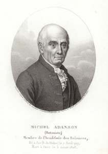 Michel Adanson - French School