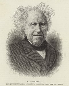 Michel Eugène Chevreul - French School