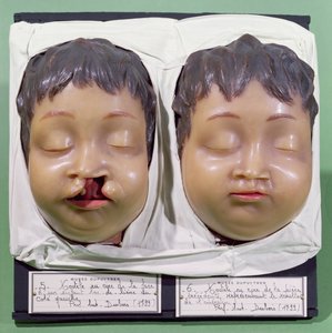 Modèle montrant le visage d