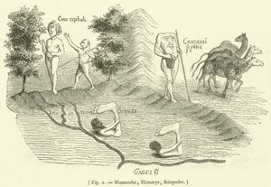 Monocules, Blemmys, Sciopodes (gravure)