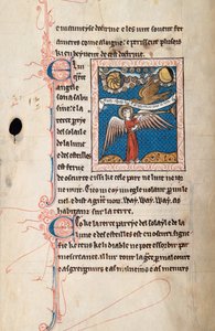 Ms65 f29v, Commentaire sur l