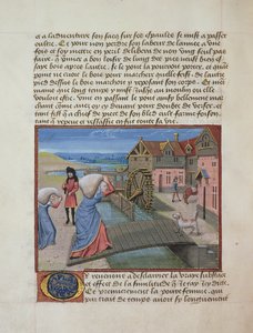 Ms 165 fol.48v Un moulin à eau, de l