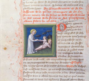 Ms 313 Création d