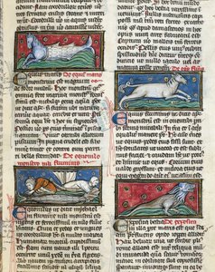 Monstres marins, de 