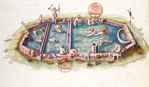 Ms 3243 Les Bains de Nerys à Neris-les-Bains, illustration de 